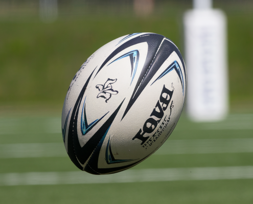 illustration-rugby